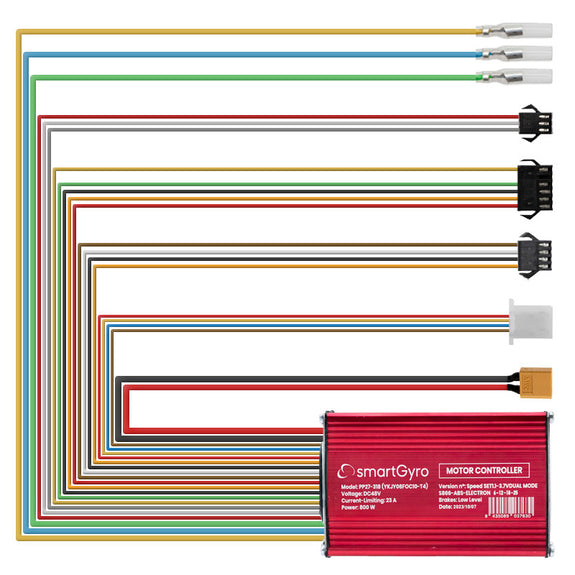 48V 23A 800W originele Smartgyro goedgekeurde Speedway PRO / Rockway PRO