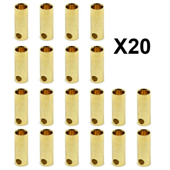 5,5 mm 20F banaanconnector voor Dualtron