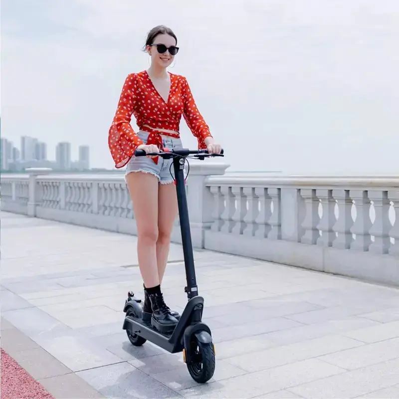 Mobile Future X9 pro 550W 48V 15,6Ah