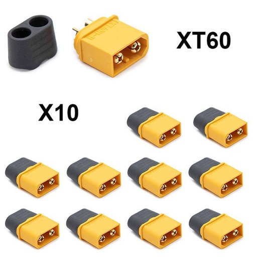 [AF005] Amass XT60 Connector - 10M