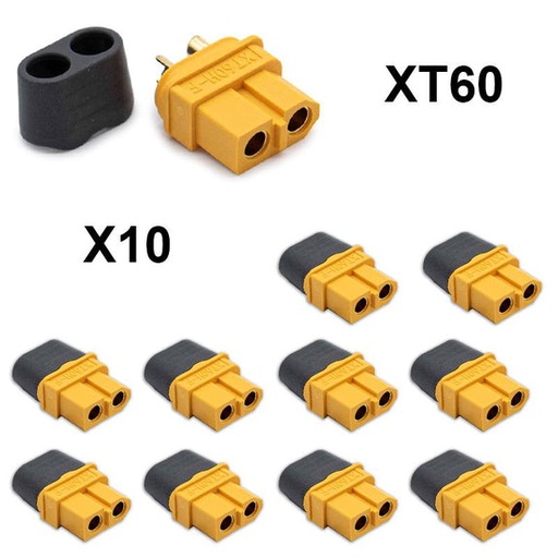 [AF006] Amass XT60 Connector - 10F